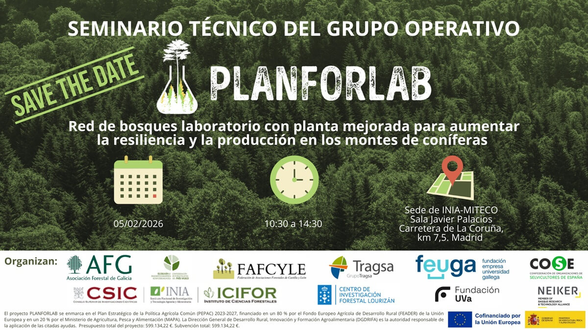 PLANFORLAB impulsa la salud y productividad de los bosques de coníferas frente al cambio climático y las amenazas sanitarias (1).jpg